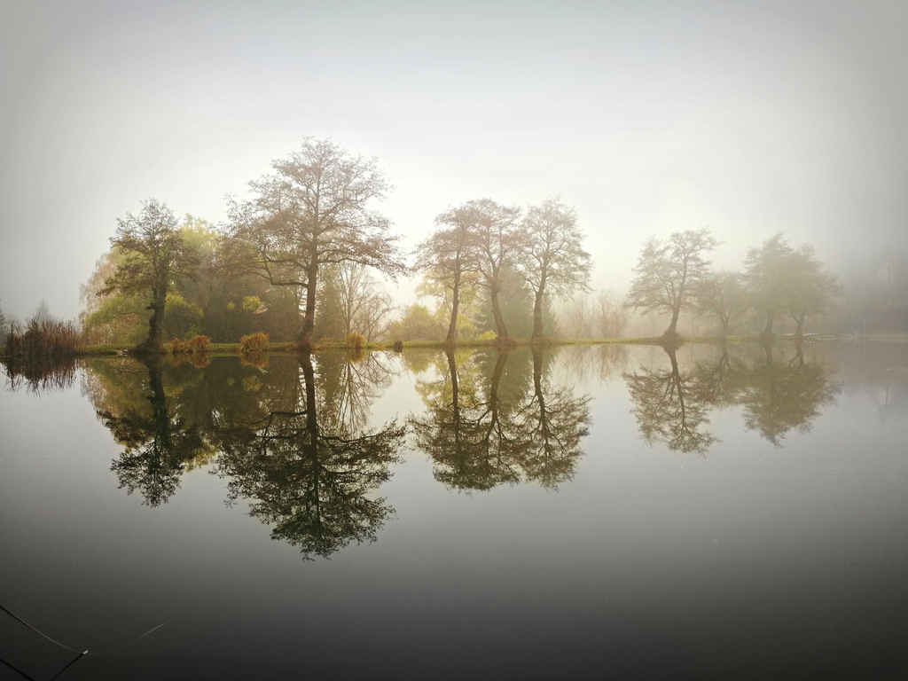 A tükröd nem hazudik