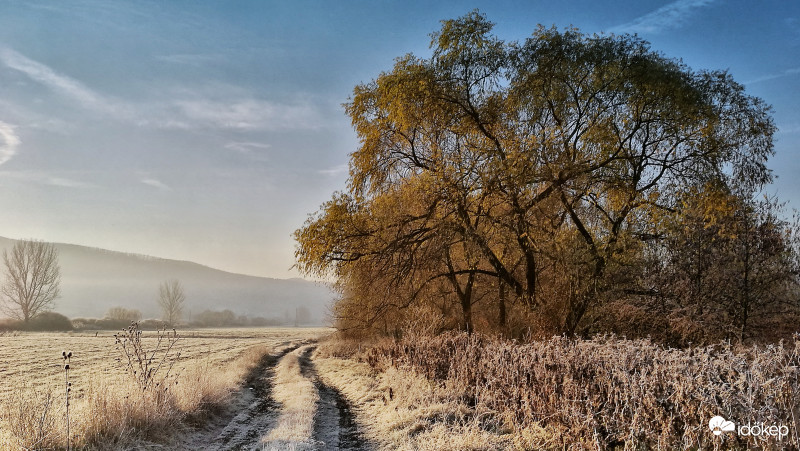 Fagyás - Szindróma