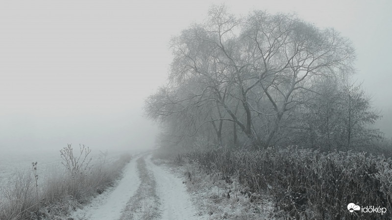 Köd és Fagy együttesen 