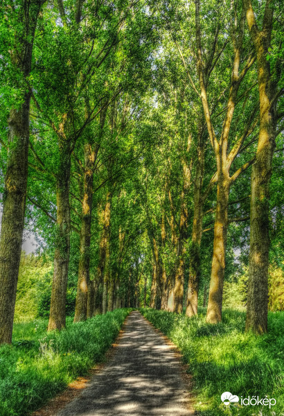 A tengerpart mellett