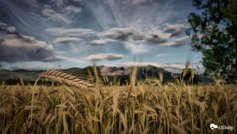 Nyári lefokozódás 