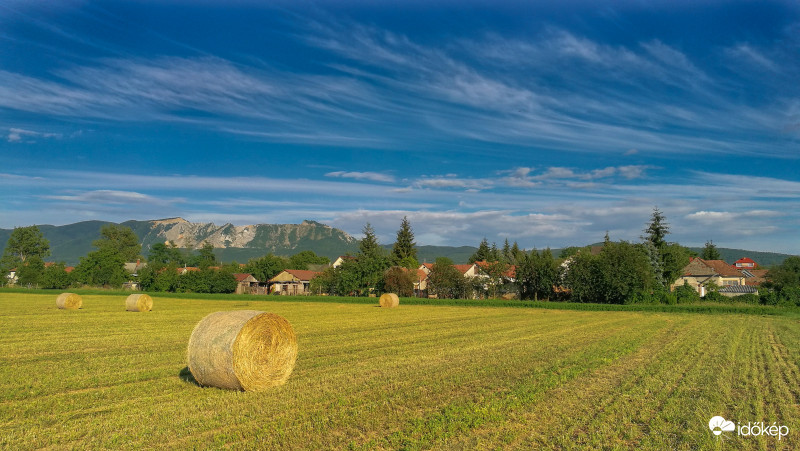 Egy darab a nyárból