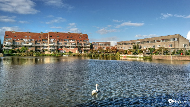 Augusztusi nyár, Hollandia