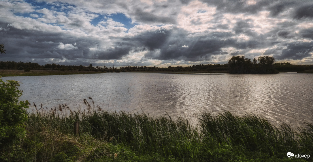 Oostvaardersplassen, Tavak.