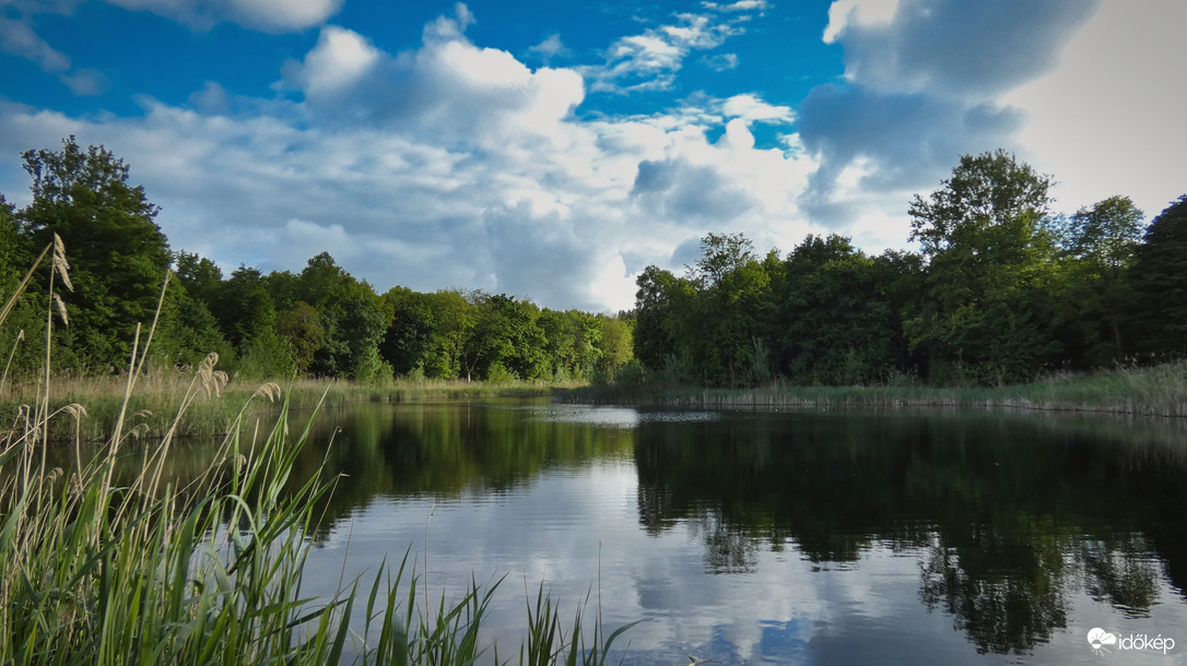 Oostvaardersplassen tavai