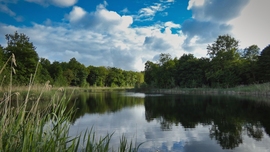 Oostvaardersplassen tavai