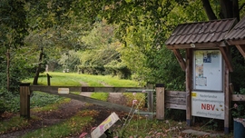 Egy méhészet kapujában