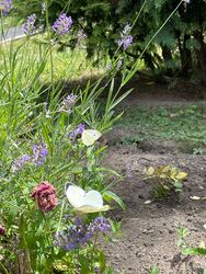 Budapest V.ker - Lipótváros