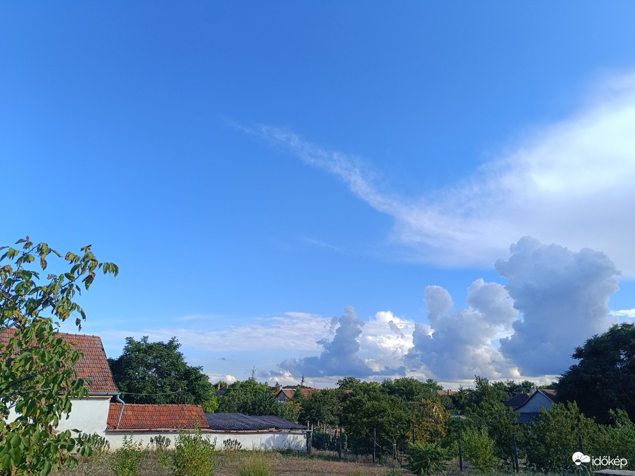 Madaras