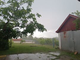 Madaras