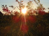 Sunset :)