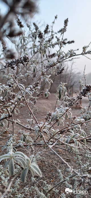 Budapest XV.ker - Rákospalota