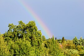 Az ég mosolya eső után 