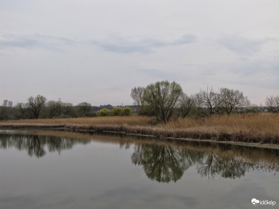 Megvastagodott fátyolfelhőzet