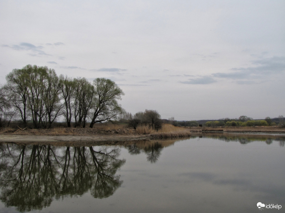 Megvastagodott fátyolfelhőzet