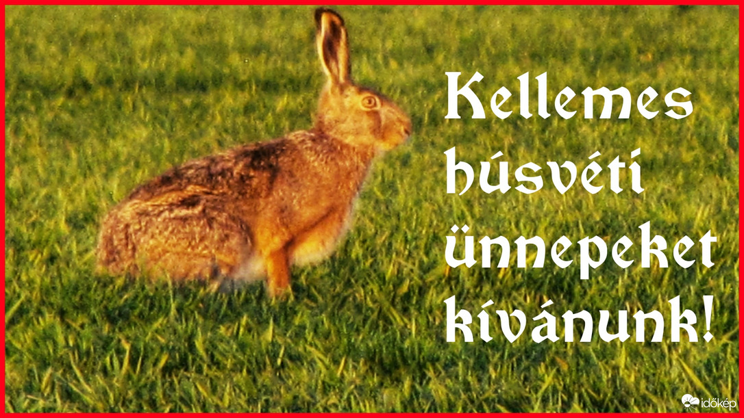 Kellemes húsvéti ünnepeket kívánok Mindenkinek! 