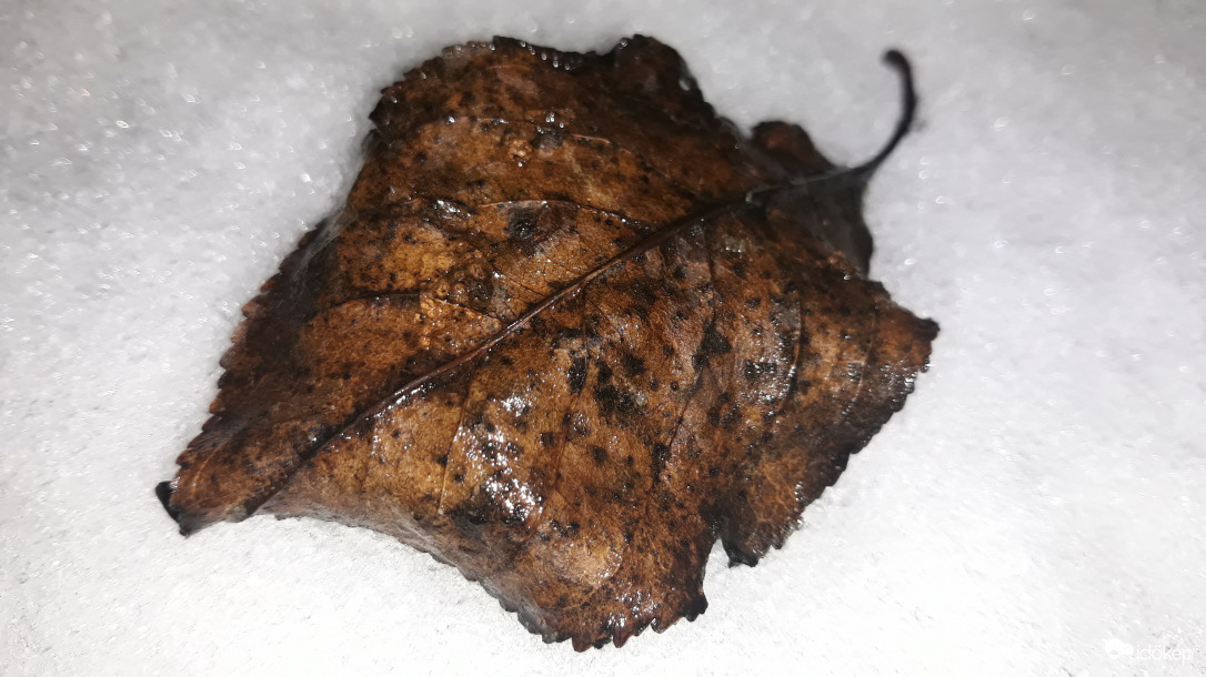 Lepelnyi hó