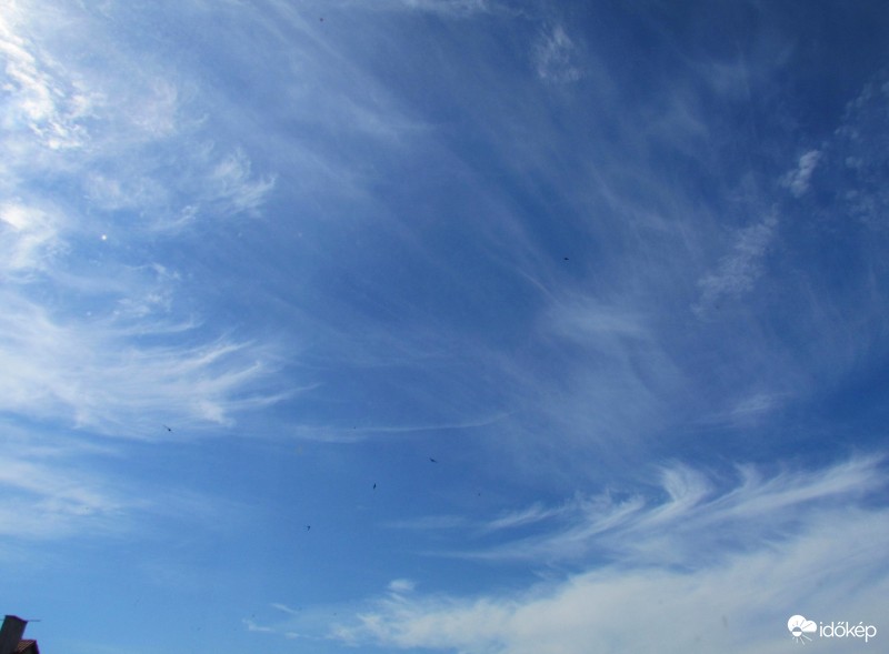 Délelőtti cirrusok 