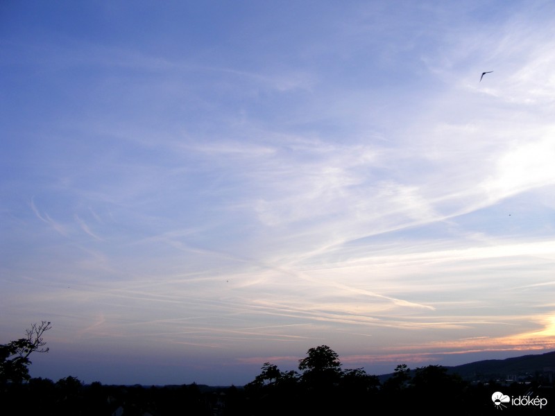 Égbolt napnyugtakor sok-sok repcsíkkal