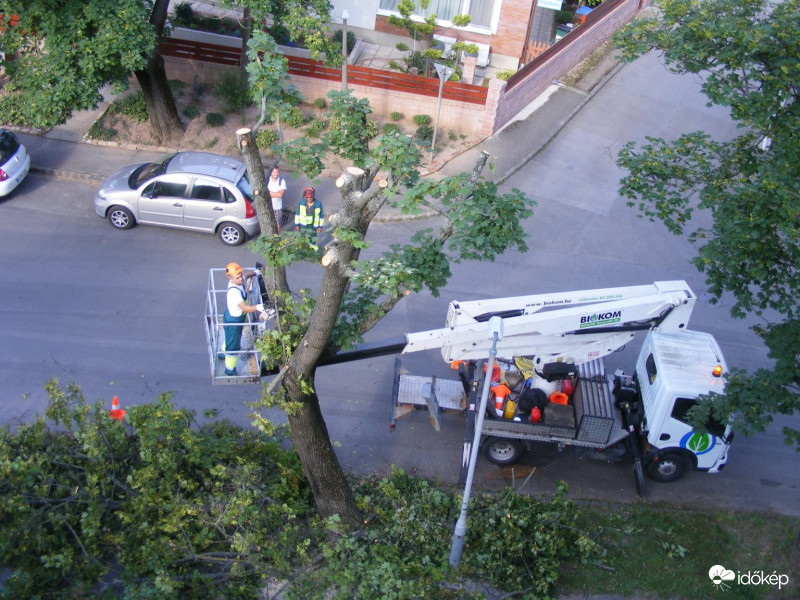 Faifjítás pécsi BIOKOM módra