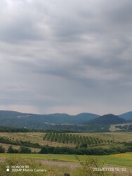 Füzérradvány