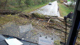 demirich971 fotója