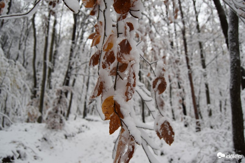 Az ősz és a tél találkozása