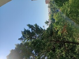 Sopron