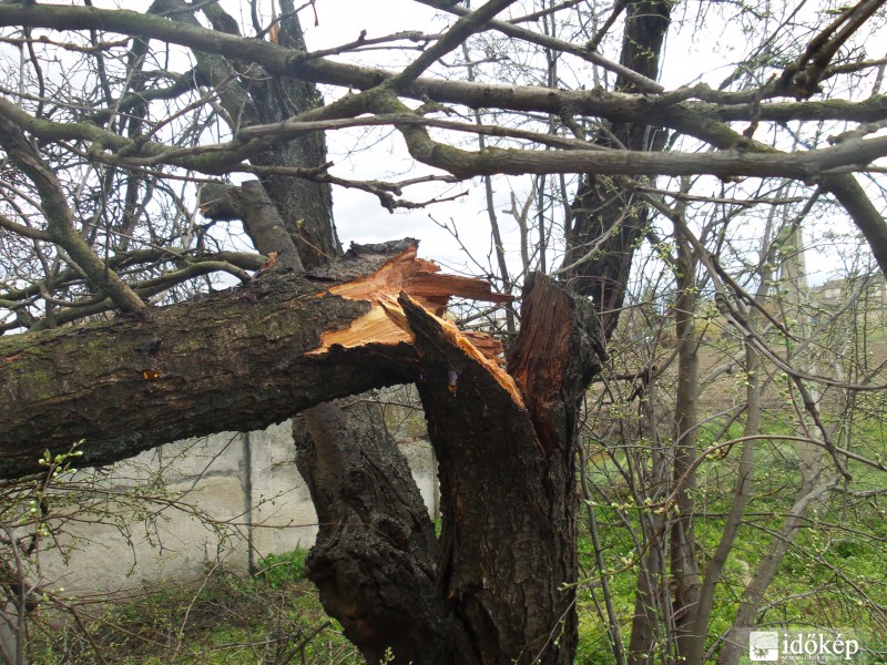 Lovasberény-szélvihar