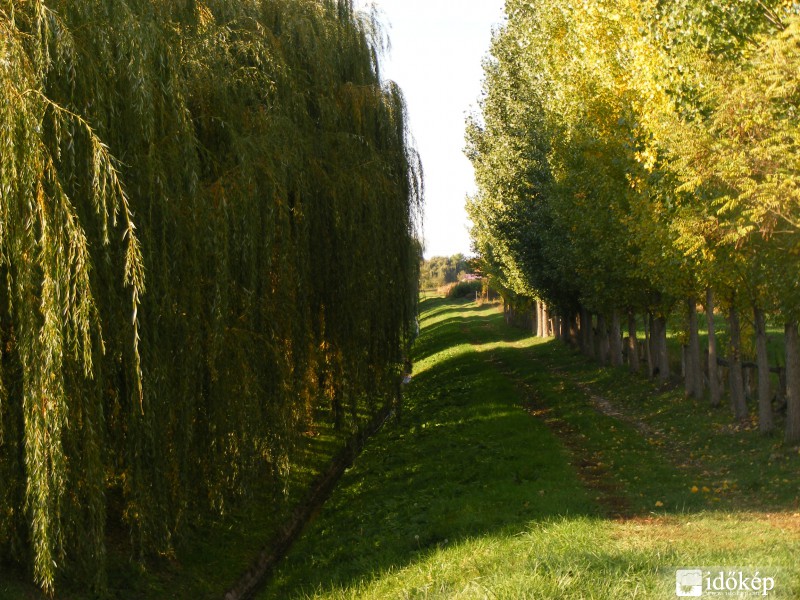 Lovasberény-Az ösvény