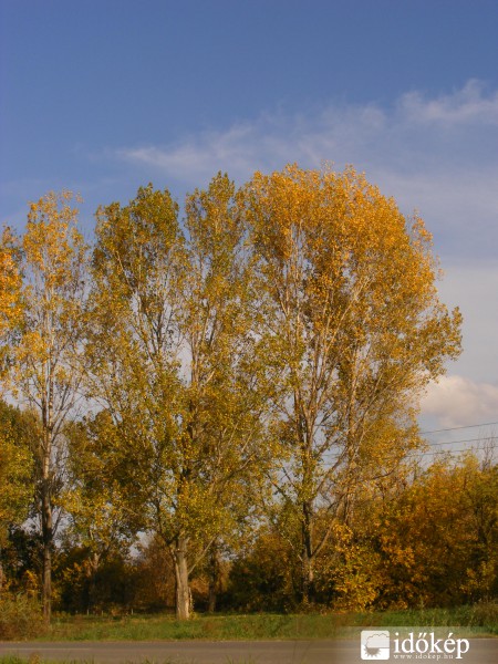 Lovasberény-Sárgaságok