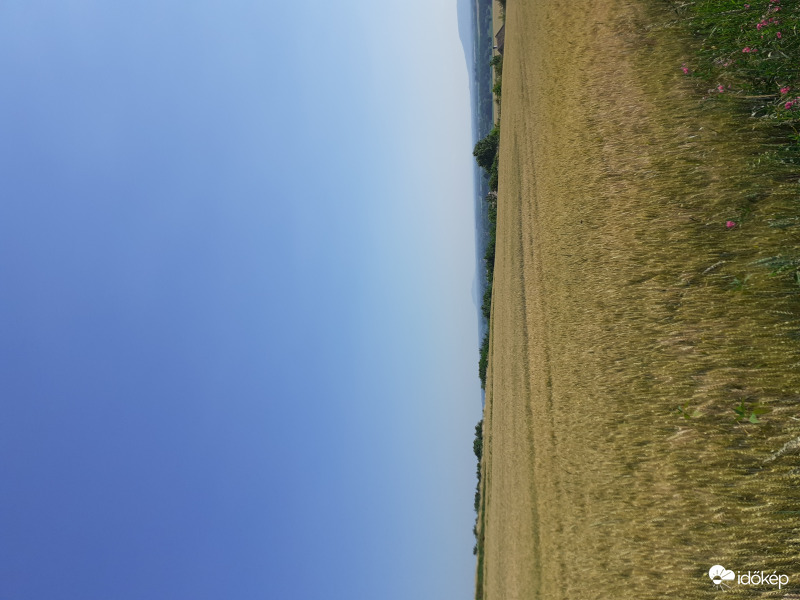 Blues skies