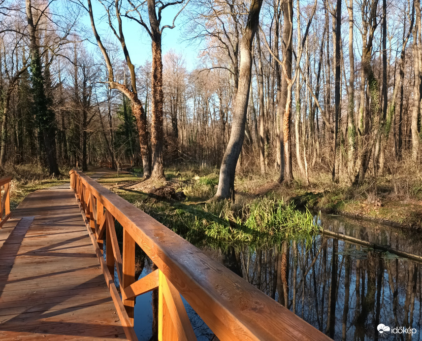 Bridge of Heviz 