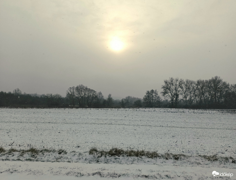 Snowy Zala