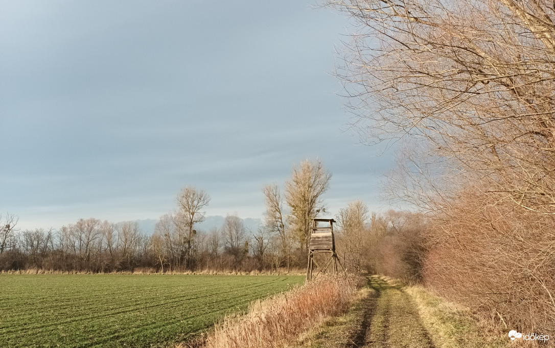 The watchtower 
