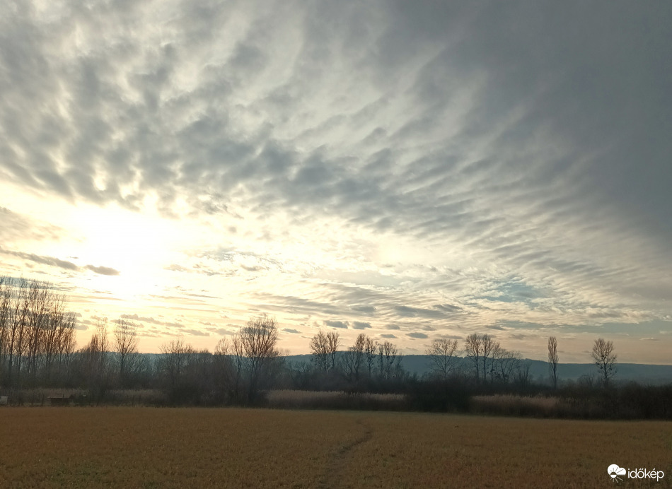 Altocumulus clouds 