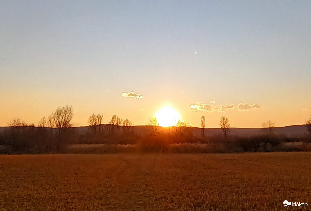 Sunny Zala 