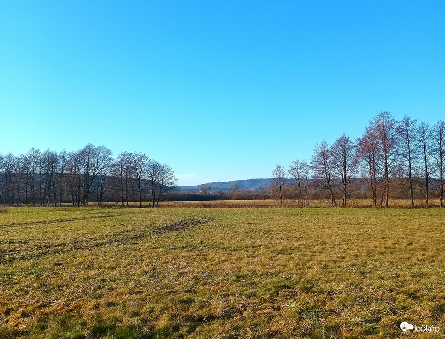 Gap between the trees 