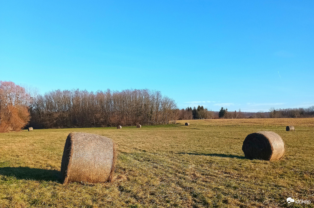 Winter bales