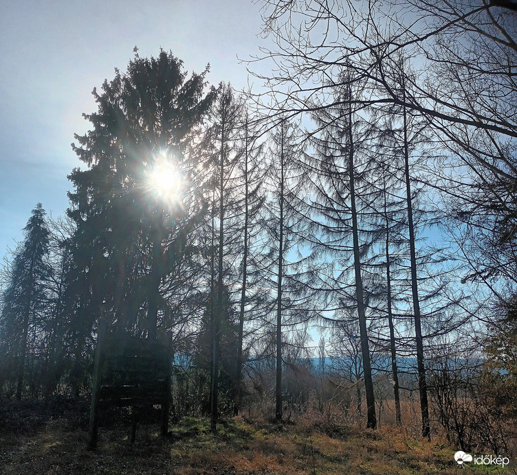 Spring shows it's face 