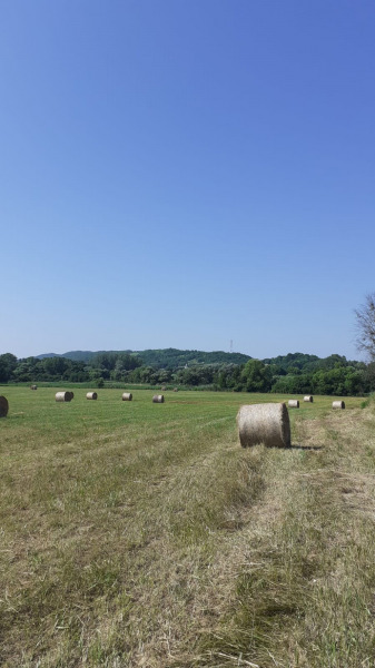 hay bales