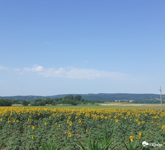 The Zala hills