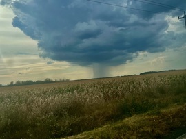 dia121 fotója