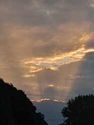 Vatta