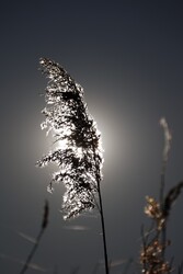 Budapest III.ker - Óbuda