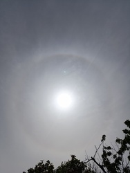 Nap halo