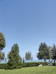 Zamárdi
