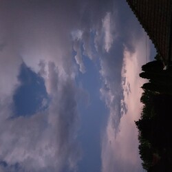 Solt