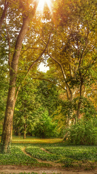 Festetics kastély park, ősz. 