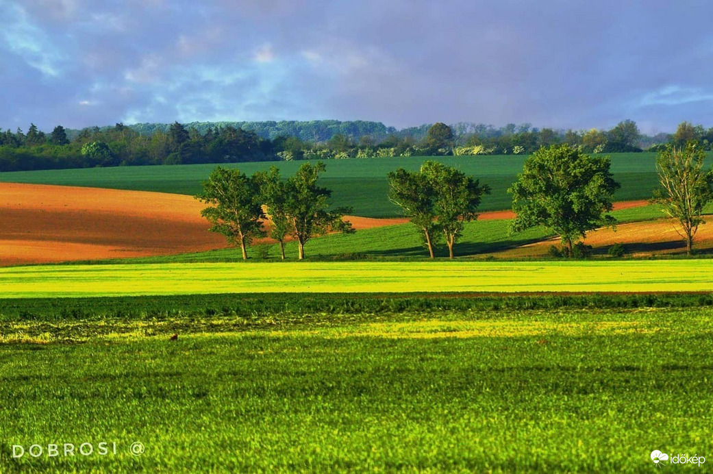 Balatonszabadi